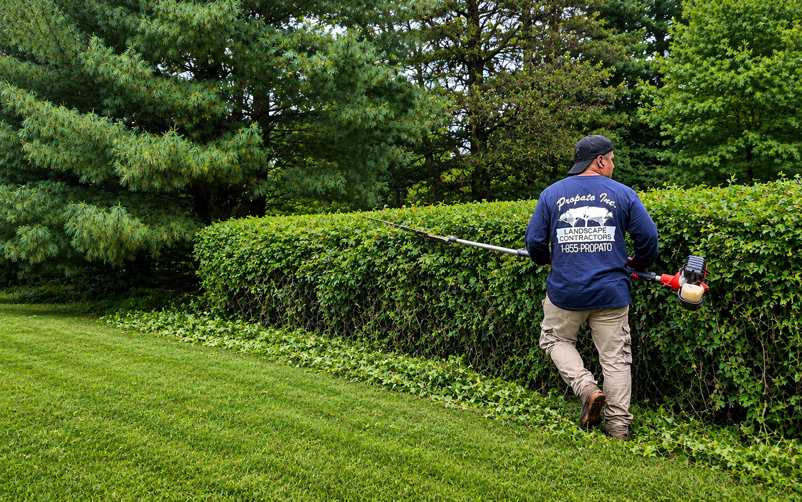 Propato Inc. Landscaping crew trimming hedges
