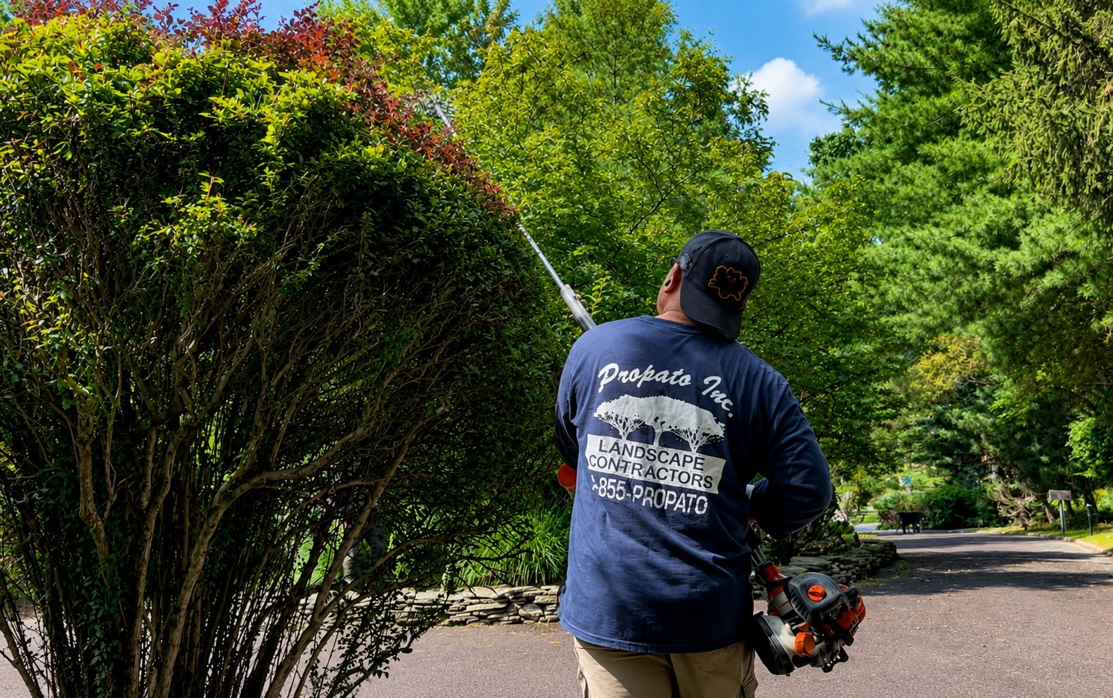 Lawn Maintenance & Trimming - Propato Inc. Landscaping