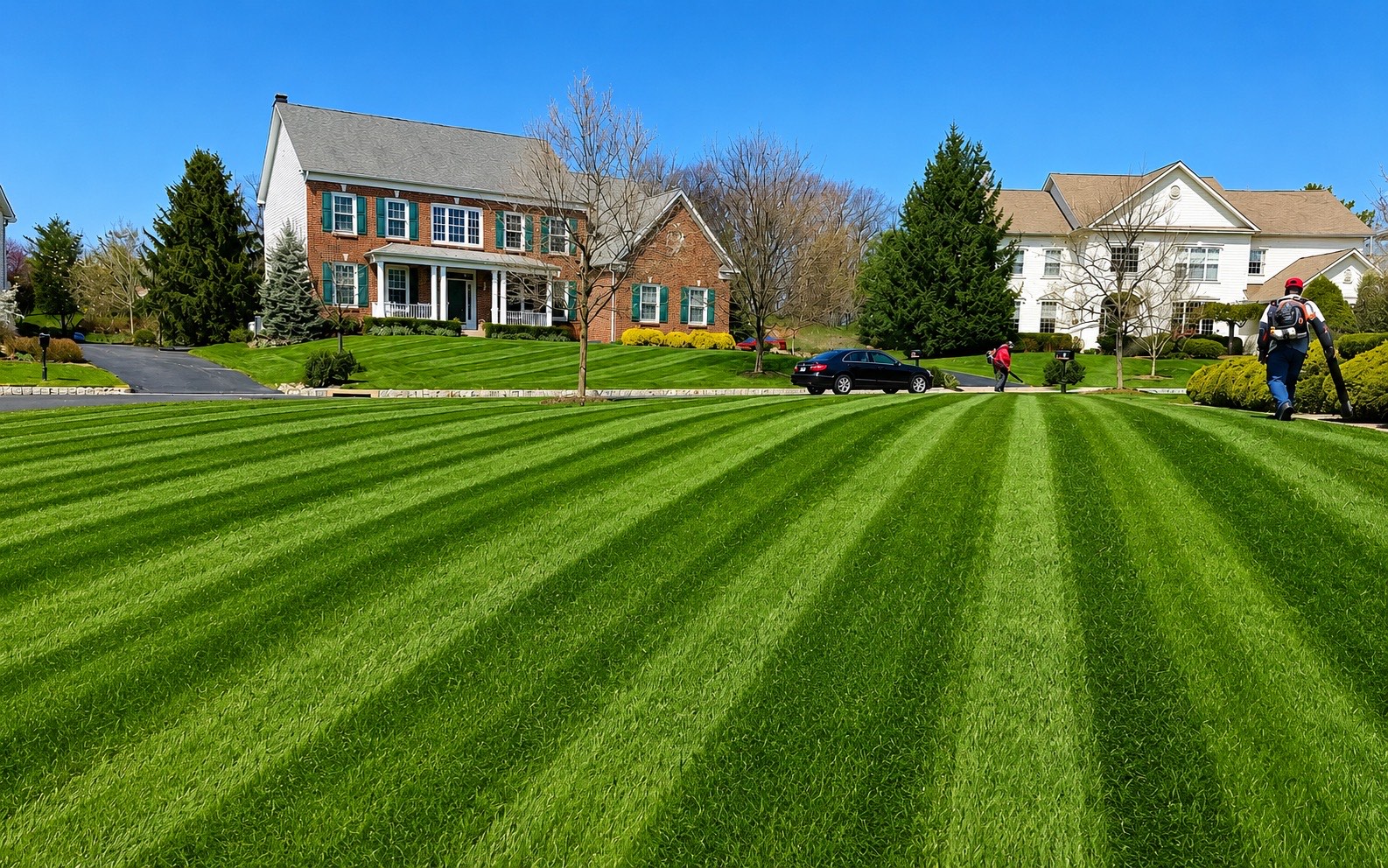 Lawn Maintenance & Trimming - Propato Inc. Landscaping
