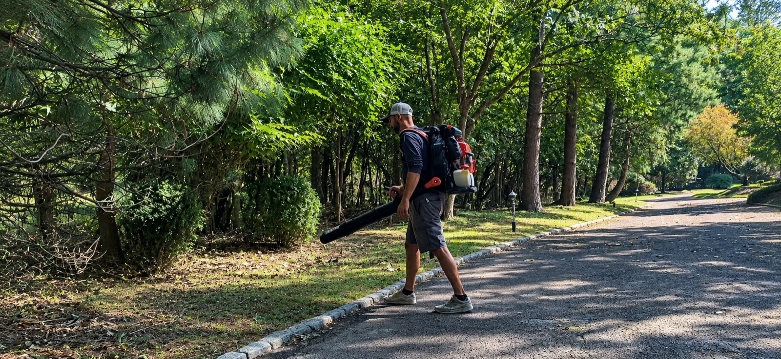 Seasonal Cleanups - Propato Inc. Landscaping